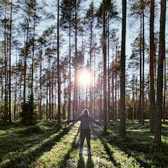 Découvrez la baignade en forêt en milieu urbain