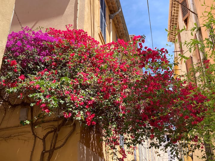 Tour à pied d’Antibes avec une guide conférencière