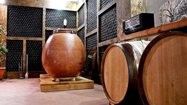 Kuonja mvinyo wa Kigiriki wa Boutique huko Nemea na mhudumu wa mvinyo