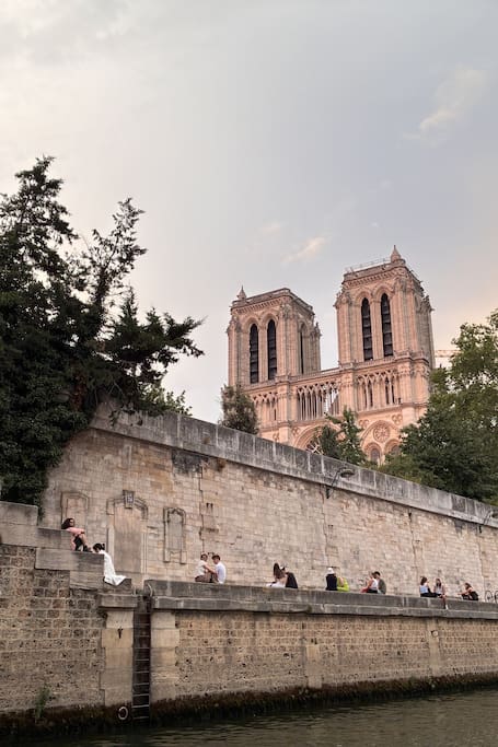 Guided Seine cruise from Notre-Dame with Champagne