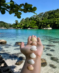 4 islas paradisíacas: un día de ocio y relajación