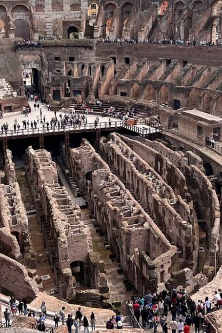 Colosseum, Forum, Palatine with audioguide App