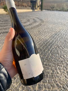Degustación de vinos artesanales