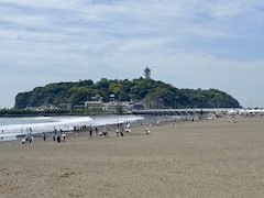 Ruta por Enoshima con guía local: vistas, historia, cultura y gastronomía local