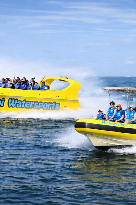 Miami Speed Boat Thrill Ride