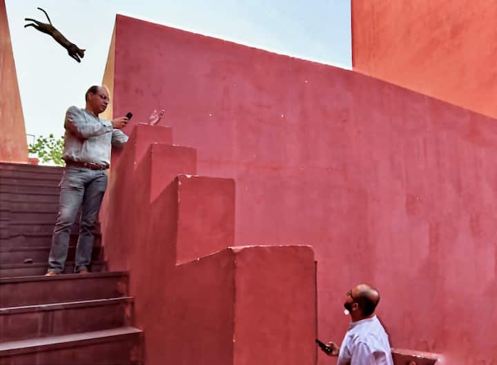 Minimalist Photography at Jawahar Kala Kendra