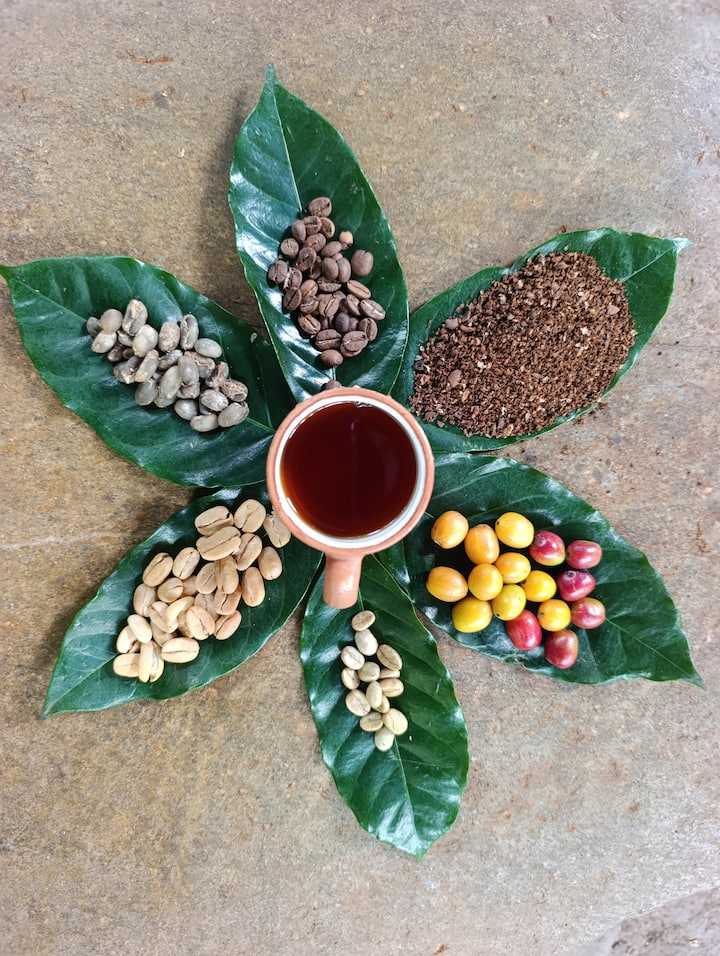 Coffee Experience: сетивно дегустиране на перуанско кафе