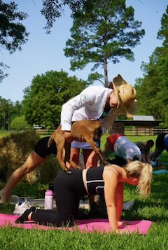 Enjoy a Guided Goat Tour & Serene Farm
