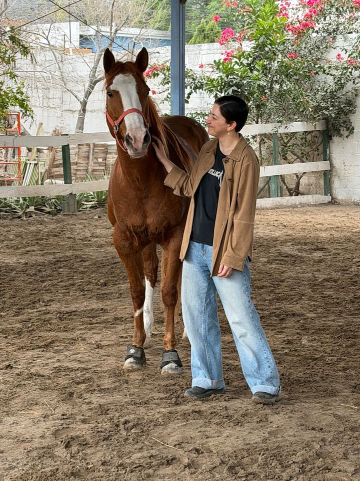 Tukio la Kupanda Farasi huko Monterrey
