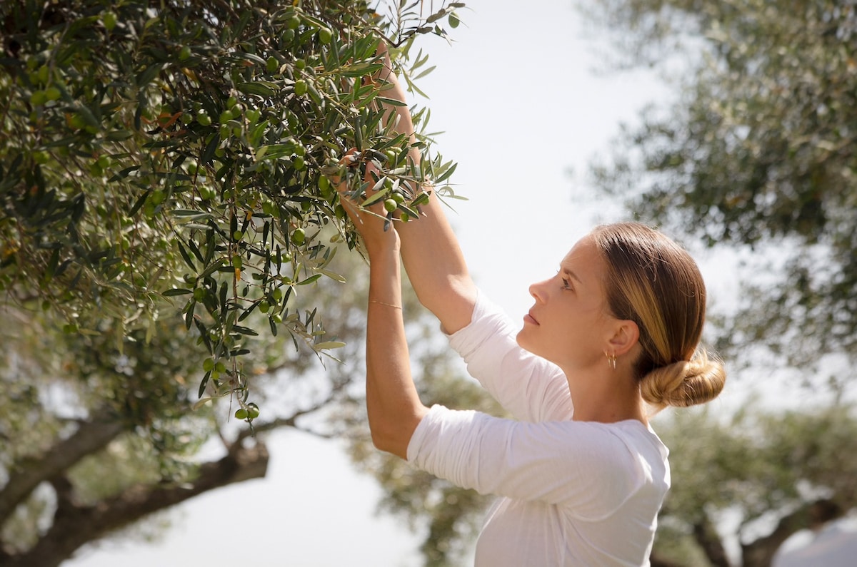 Olive Product Tasting