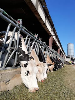 Visita a nuestra granja