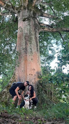 Café, história y naturaleza en Finca de Manizales