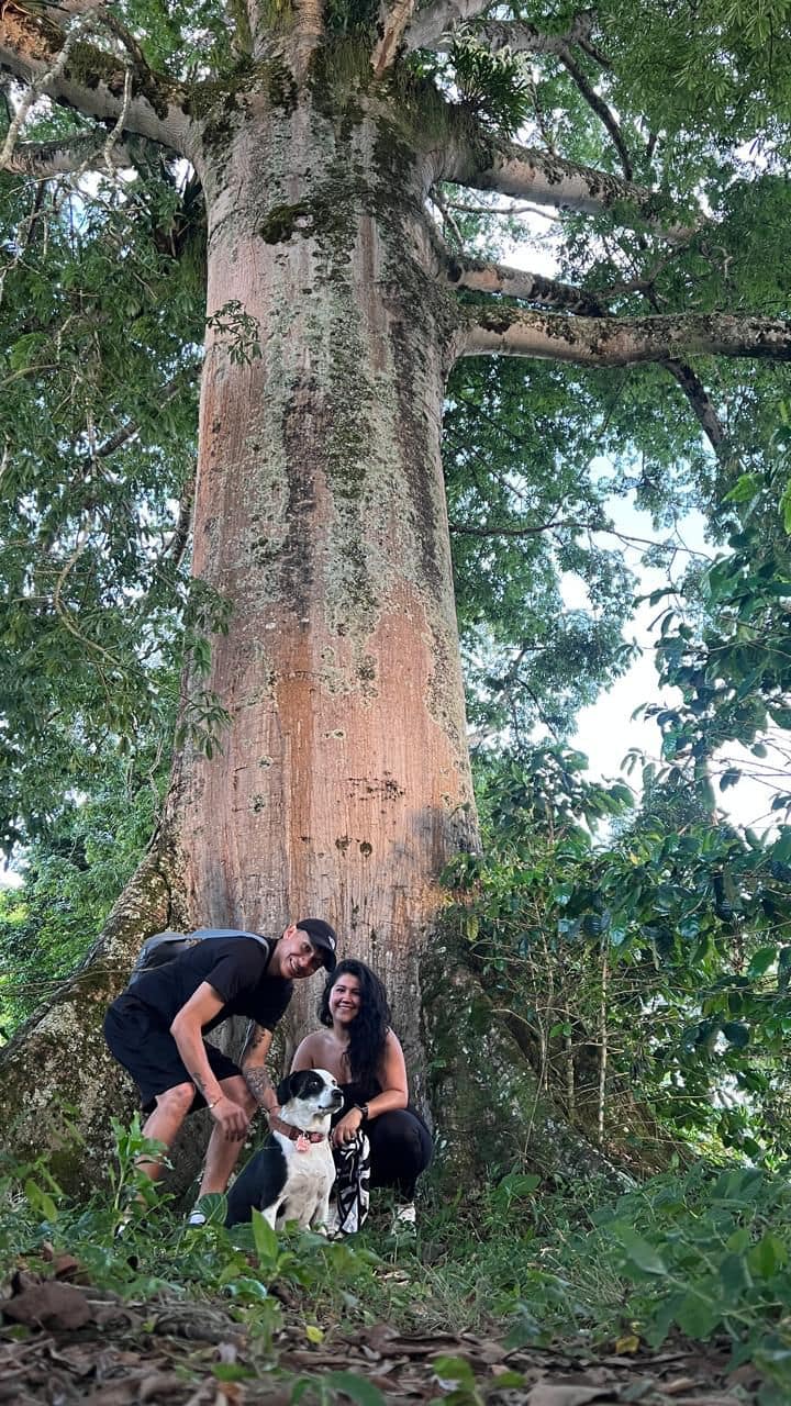 Café, história y naturaleza en Finca de Manizales