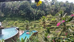 Wisata Pribadi Ubud: Budaya, Alam, & Tempat Menarik Tersembunyi