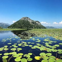 Excursion en bateau sur le lac de Shkodra avec un capitaine local