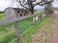 Degusta vinos en Stellenbosch con un guía local