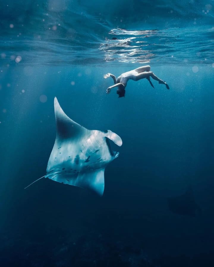 Snorkelen in Manta Point op Nusa Penida