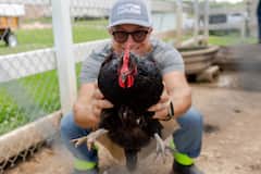 Visita guiada de 1 hora con patos y gallinas y recolección de huevos de granja