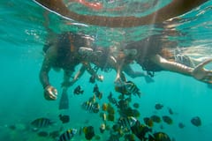 Tout compris : excursion de plongée avec tuba au lagon bleu de Bali