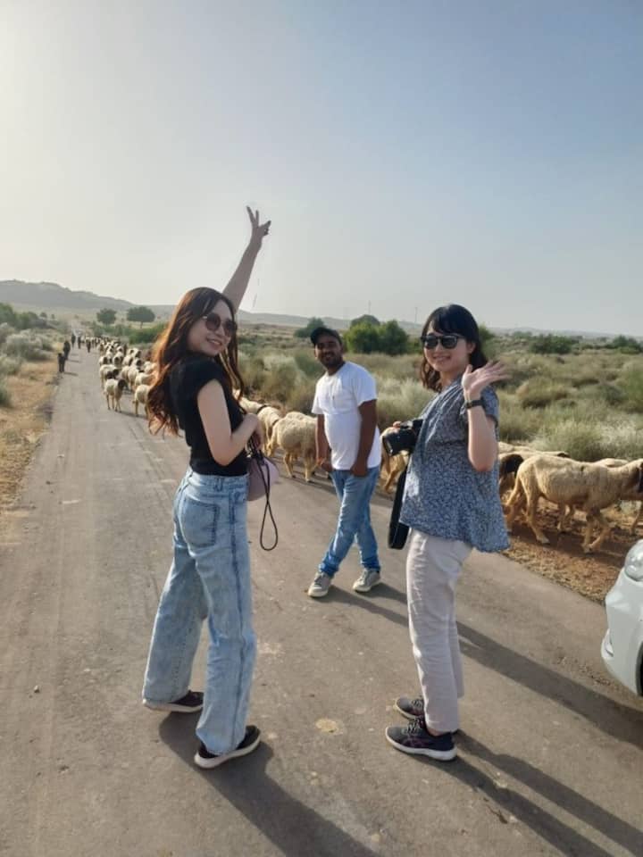 जैसलमेरमध्ये थार वाळवंटात साहसी उंट सफारी
