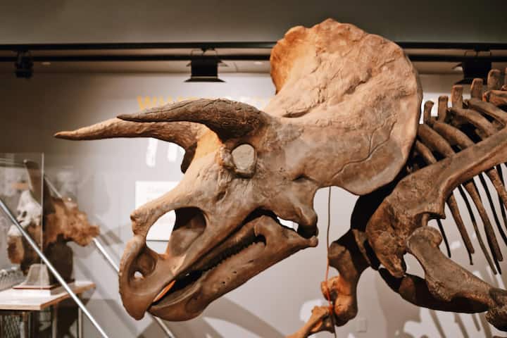 Eksploro thesaret natyrore dhe hapësinore të Smithsonian