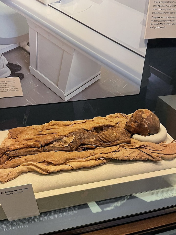 Eksploro thesaret natyrore dhe hapësinore të Smithsonian