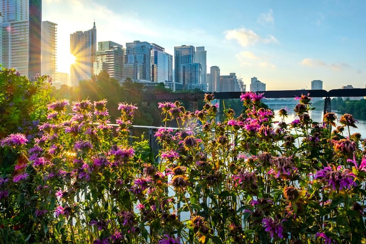 Weekend Austin Culinary Adventure - 6 Foodie Stops