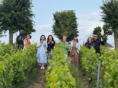 De Roma a la Toscana: degustaciones de vino y comida en grupos pequeños