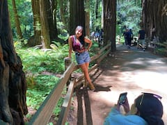 Recorrido privado en jeep por Muir Woods y Sausalito (máx. 6 personas)