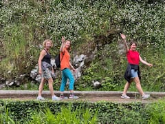 东马德拉私人探险之旅（含 Levada 漫步）