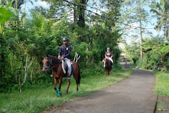 Paseo a caballo por los campos de arroz de Tegallalang