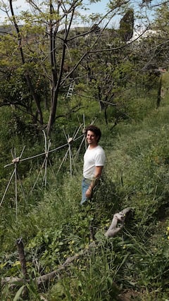 Un jardín sintrópico secreto en Naxos