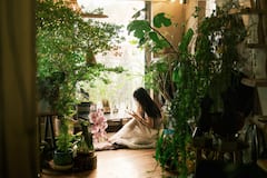 当地花卉市场和隐秘花卉咖啡馆