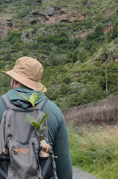 Senderismo y reforestación - norte gc - moderado