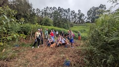 Senderismo y reforestación - norte gc - moderado