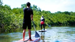 Bali: recorrido en tabla de remo por el bosque de manglares