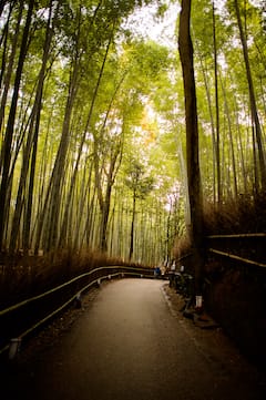 骑自行车游览岚山和山间寺庙