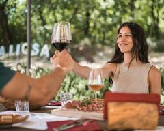 Recolección de hierbas silvestres y degustación de vino natural