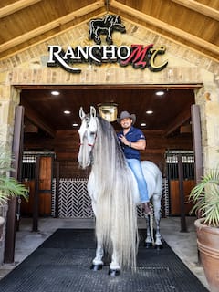RanchoMC 骑马体验