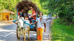 Escala Sigiriya con un experto en cultura