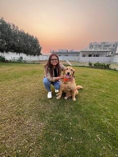Sesión de meditación con perros.