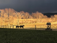 Recorrido por una granja de caballos