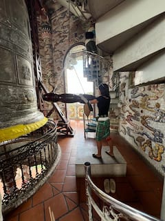 Excursión de un día a una plantación de té, templo de Buda y almuerzo