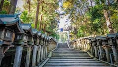 Nara más allá de los ciervos: el teleférico más antiguo, recorrido por el templo