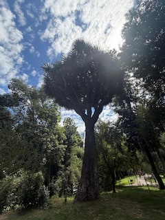 Lakbayin ang Cerro Santa Lucía sa Santiago