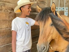 Conecta con caballos Mustang