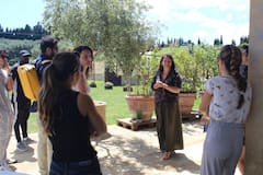 פירנצה: סיור מודרך בנושא שמן זית בגבעות