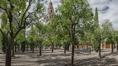 Cordoue : billet pour la mosquée-cathédrale avec audioguide