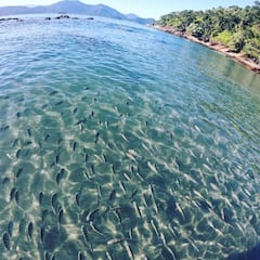 นั่งเรือสปีดโบ๊ทชมวิว 7 ชายหาด - อูบาตูบา