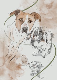 巴塞罗那绘画工作坊